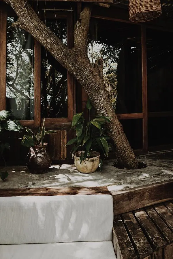 Boa Boa Bacalar Apartment