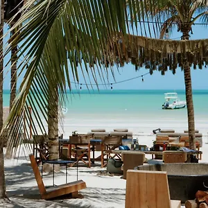4* Hotel Casa Tortugas Petit &