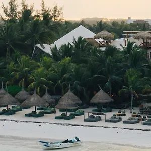 4* Hotel Casa Tortugas Petit &